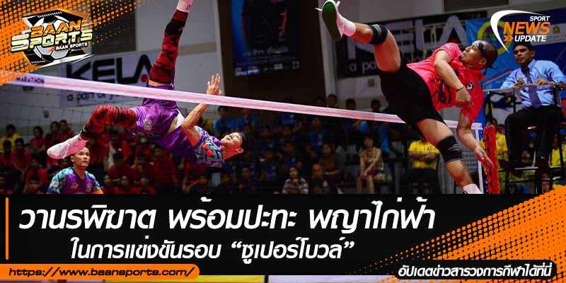 ข่าวตะกร้อ