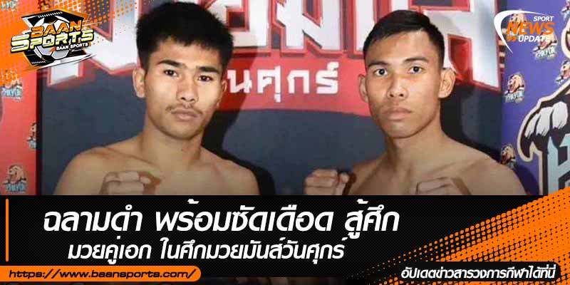 ข่าวมวยไทย
