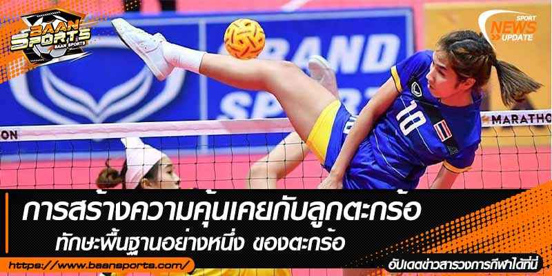 ข่าวตะกร้อ