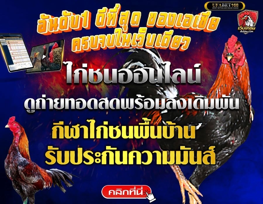 แทงไก่ชน