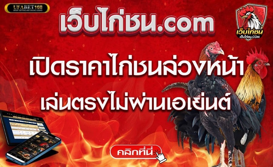 แทงไก่ชน