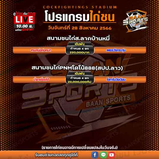 โปรแกรมไก่ชน