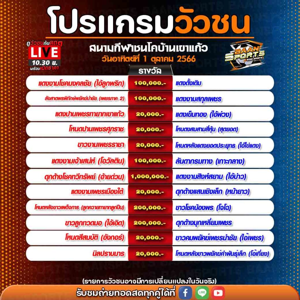 โปรแกรมวัวชน