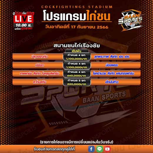 โปรแกรมไก่