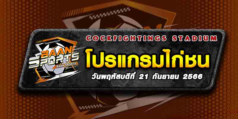 โปรแกรมไก่ชน