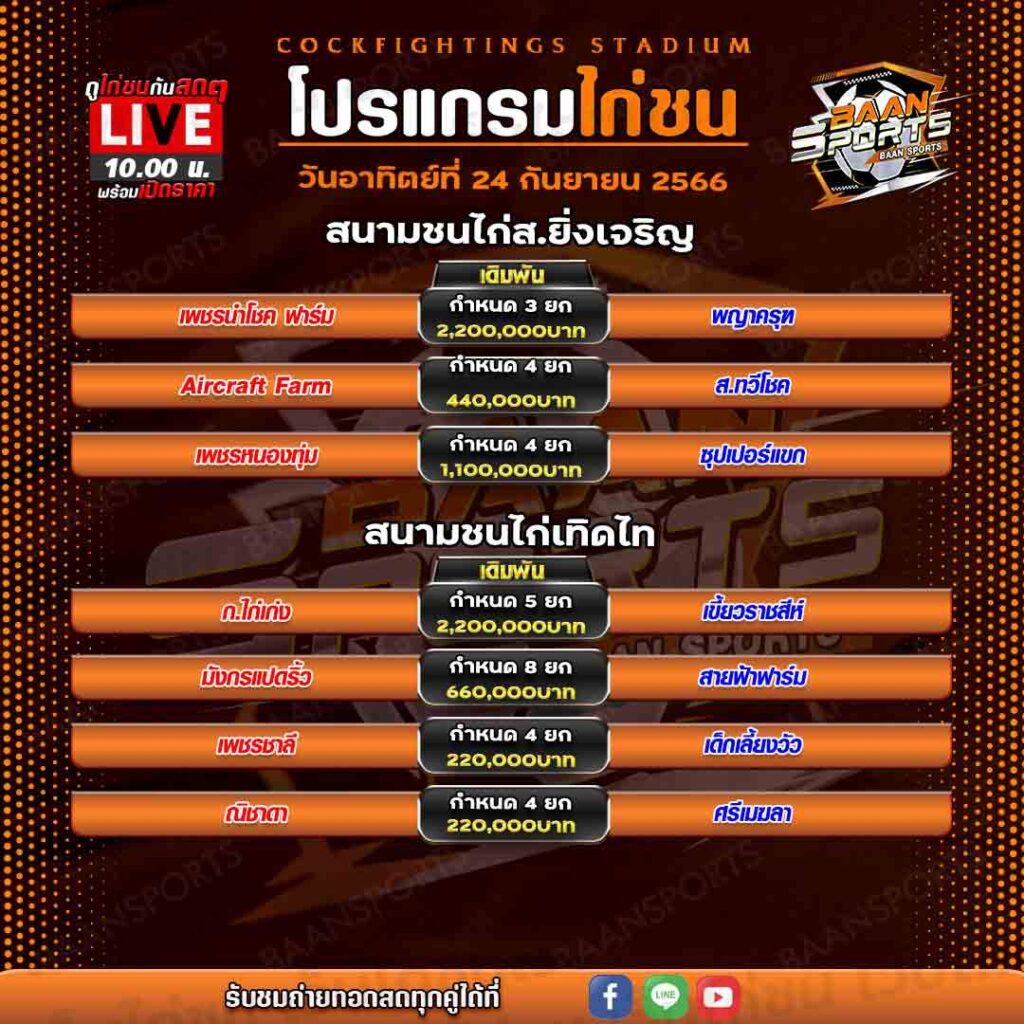 โปรแกรมไก่ชน