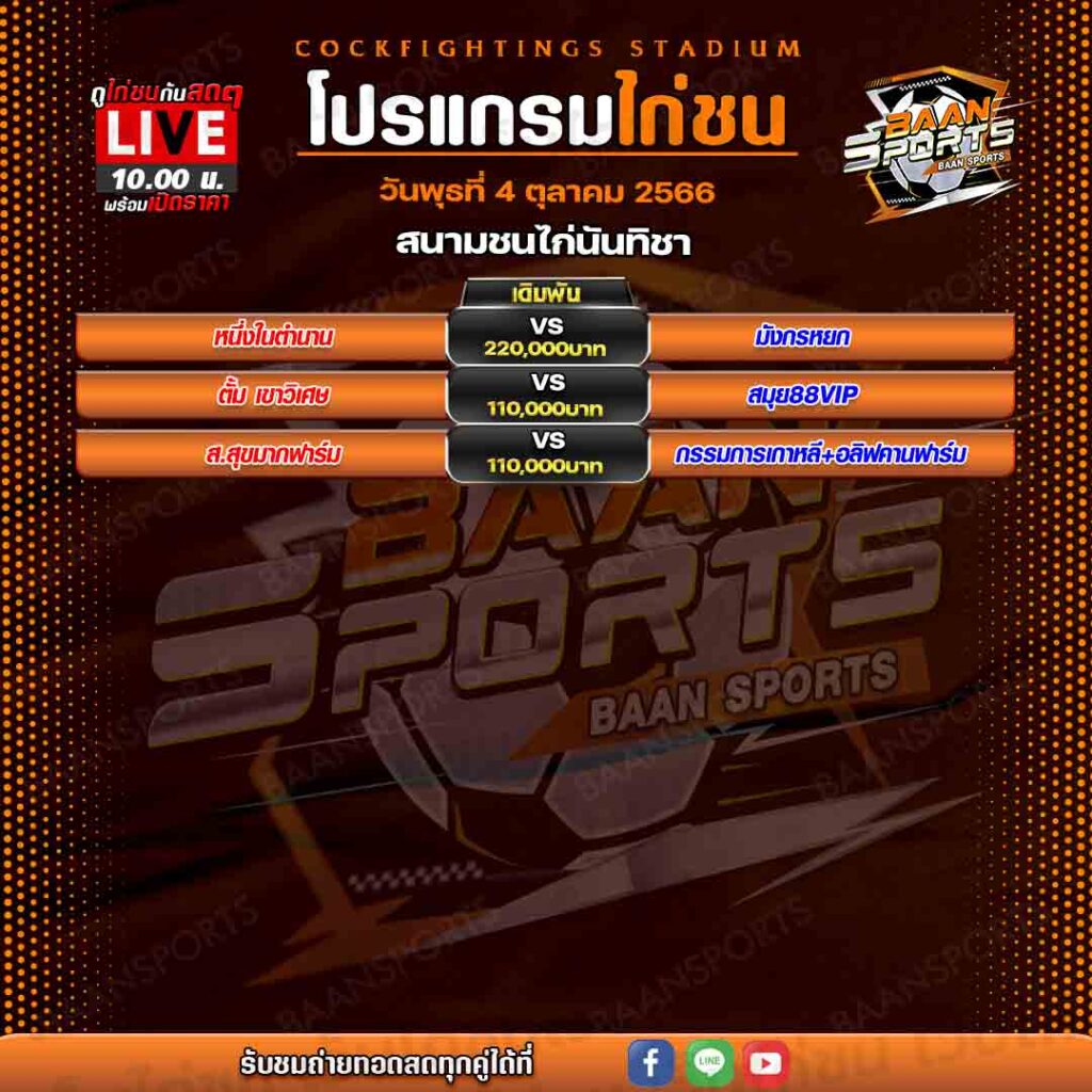 โปรแกรมไก่